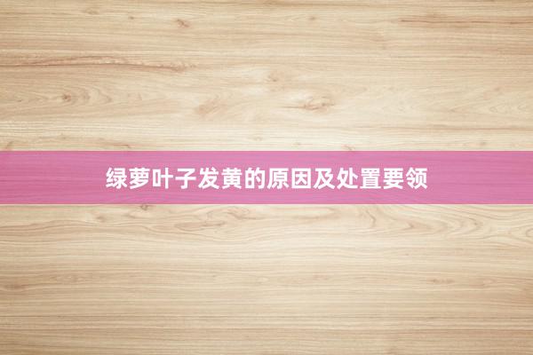 绿萝叶子发黄的原因及处置要领