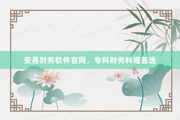安易财务软件官网，专科财务料理首选